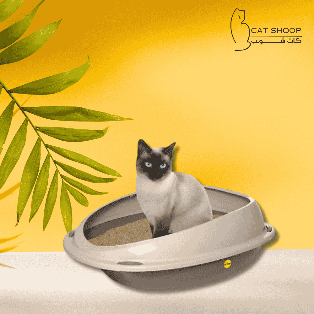 ليتر بوكس مفتوح صغير 530