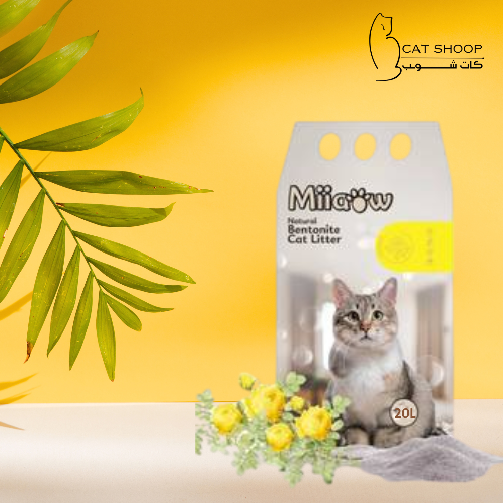 رمل مياو ورد